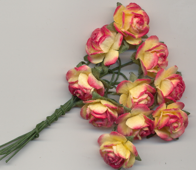 roses mini - yellow/red 2 tone roses mini - yellow/red 2 tone