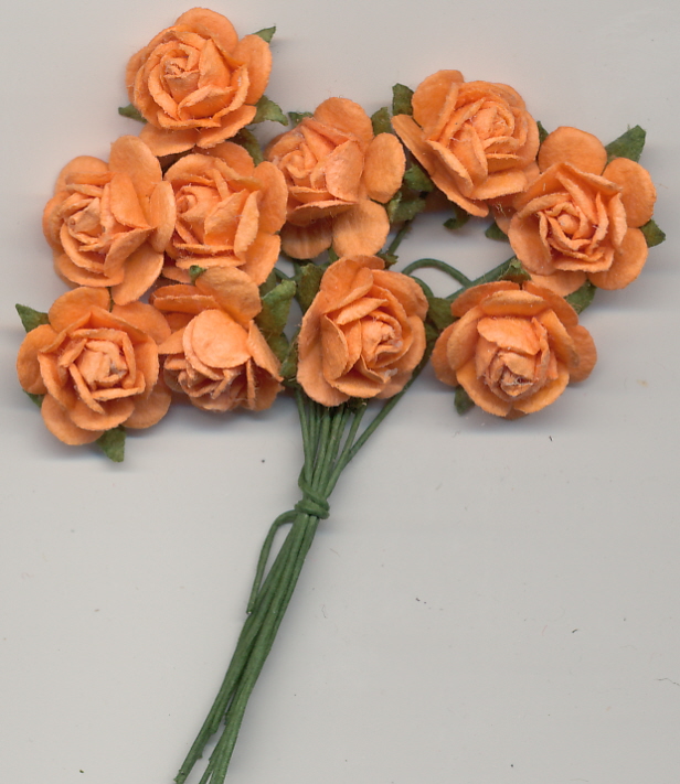 roses mini - orange roses mini - orange