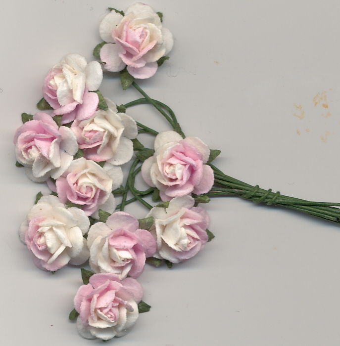 roses mini - blush 2 tone roses mini - blush 2 tone