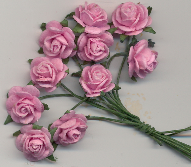 roses mini - pale pink roses mini - pale pink