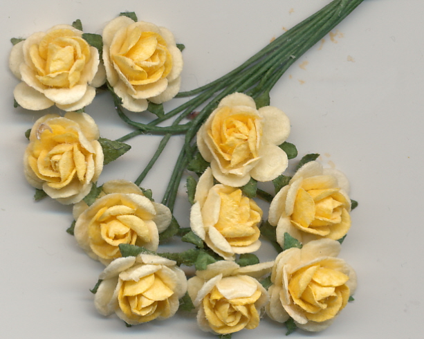roses mini - cream/yellow 2 tone roses mini - cream/yellow 2 tone