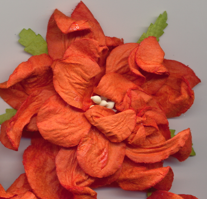 Large Curly Gardenia - orange 2.5" Large Curly Gardenia - orange 2.5"