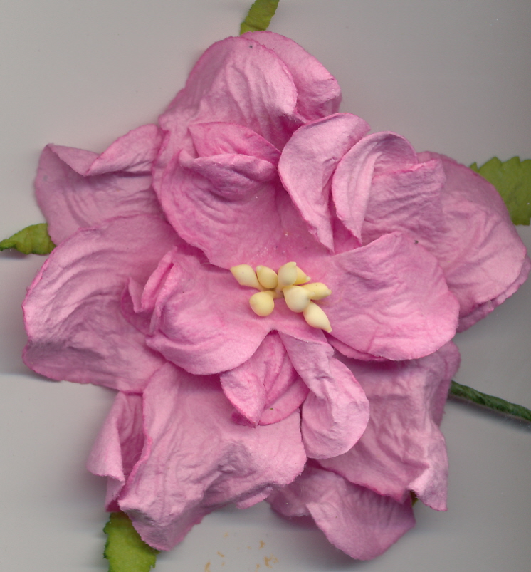 Large Curly Gardenia - pink 2.5" Large Curly Gardenia - pink 2.5"