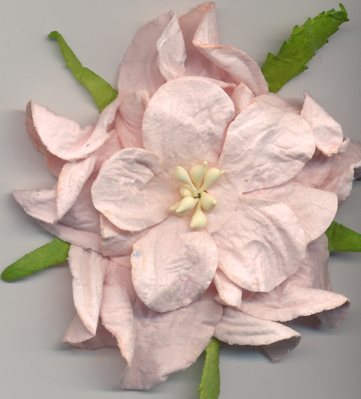 Large Curly Gardenia - blush pink 2.5" Large Curly Gardenia - blush pink 2.5"