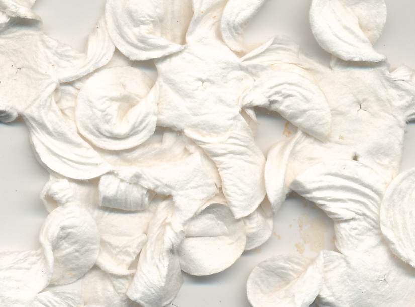 Medium Curly Petals - large pack - white Medium Curly Petals - large pack - white